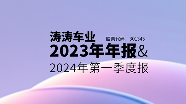 һͼ�����ط����ų�ҵ2023���걨&2024���һ���ȱ�